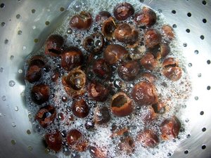Premium Natural Soapberry Washnut Dried Soap Nuts for Laundry Household Cleaning and <b>Detergent</b> Wholesale Vietnam - Product Image 1