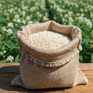 Graines de sésame décortiquées, pureté 99,98%, blanches naturelles, qualité export, approvisionnement en vrac, sacs en jute de 25 kg / 50 kg, prix compétitif - Product Image 1