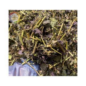 HIGH SELECTED RAW DRIED PERILLA PURPLE LEAF MADE IN VIETNAM SUMMER BEST CHOICE <b>COOLING</b> BODY HERBAL TEA LEAF IN <b>BAG</b> FOR RETAIL - Product Image 1