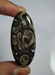 Lote al por mayor de cabujones de ágata TURRITELLA por peso con diferentes formas y tamaños utilizados para la fabricación de joyas, piedra TURRITELLA - Product Image 3