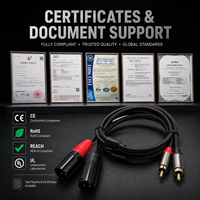 Câble Combo XLR Professionnel Ice Combo, Câble de Signal Powercon DMX512 pour Équipement d'Éclairage Scénique, Assemblage de Câbles Personnalisés OEM ODM