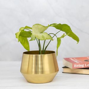 Pot de fleurs moderne en laiton, conteneur pour plantes d'intérieur, design minimaliste, finition chromée, décoration de bureau, finition dorée - Product Image 1