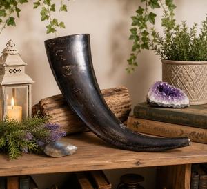 Corne à boire artisanale 100 % naturelle en corne de bœuf, style Viking médiéval, polie, écologique, accessoire pour la bière - Product Image 5