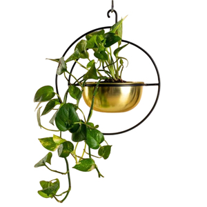 Modern Gold and Black Metal <b>Wall</b> <b>Mounted</b> Planter Set 2 Minimalist Hanging Flower Pot for Indoor Garden Decorative <b>Plant</b> Holder - Product Image 5