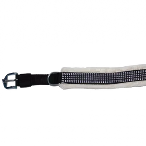 Collar de Diseño para Perros, Collar Moderno para Mascotas Pequeñas y Medianas, Servicios OEM y ODM de Divine International - Product Image 1