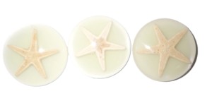 Cabochon rond en plastique avec spécimen réel d'étoile de mer, 35x35 mm, fond plat, luminescent, pour artisanat et fabrication de bijoux - Product Image 5