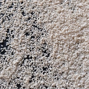 Semillas de Sésamo Descascarilladas de Alta Pureza 99.98% Naturales, Semillas de Sésamo Blancas de Grado Alimenticio, Calidad de Exportación, Bolsas de Yute de 25kg / 50kg - Product Image 2