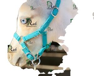 Licol en cuir réglable de qualité supérieure pour cheval - Double couche durable avec quincaillerie robuste, style selle anglaise - Product Image 2