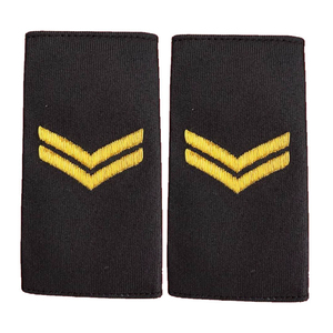 Épaulette de grade de pilote brodée en 3D, personnalisée, durable, de haute qualité, à coudre sur tissu textile ou toile, fabriquée à la main, service OEM - Product Image 3