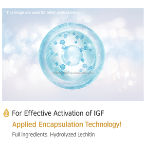Coreano OEM ODM IGF peptide elasticità fiala per la pelle giovane radiante - Product Image 6