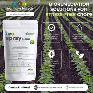 Biofertilizante microbiano para resistencia al estrés de los cultivos Mejora la salud de los cultivos con fertilizante biológico - Product Image 5