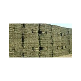 Heno de Pasto Rhodes 100% Natural de Primera Calidad, Grado Alimenticio, Alto en Proteínas, para Alimentación Animal, Caballos, Peces, Ganado, en Bolsas de PP de 25/50 kg - Product Image 2