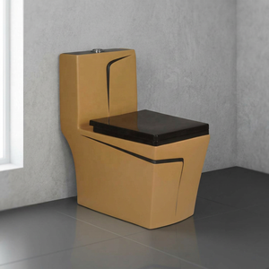 WC monobloc en céramique de style moderne pour salle de bain, avec siphon en P, à poser au sol, de marque Indian Sanitary Ware - Product Image 2