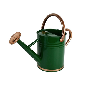 Regadera de Metal Galvanizado, Regadera de Estilo Indio, Regadera Tradicional de Diseño, Regadera de Lujo al por Mayor, Regadera de Buena Calidad - Product Image 6