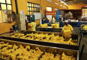 Vietnam SVR5 blocs de caoutchouc de qualité supérieure en caoutchouc naturel pour la production industrielle et l'exportation - Product Image 2