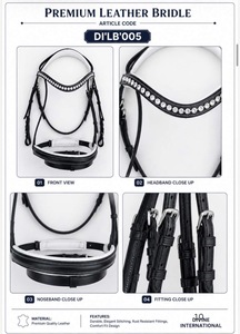 Bridon de cheval en cuir pleine fleur de qualité supérieure avec têtière anatomique rembourrée de Divine International India - Product Image 4