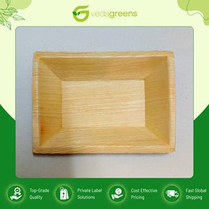 Oferta Increíble en Platos Rectangulares Desechables y Ecológicos de Palma de Areca de la Mejor Calidad, Disponibles en Varios Tamaños - Product Image 5