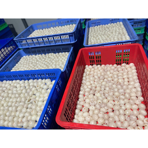 Litchis surgelés IQF de première qualité, sans sucre ajouté, fruits tropicaux naturels, emballés sous vide, fournisseur en gros commercial - Product Image 5