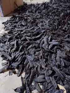 HIGH GRADE Honey Locust Dried Fructus Gleditschiae From Vietnam - Product Image 4