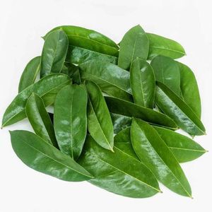 Soursop Fermented Dried Broken Black <b>Tea</b> Organic Non-Sugar Health 50gr 25 <b>Tea</b> Bags/<b>Box</b> Grade a EXPAD CO Binh Phuoc Vietnam - Product Image 5