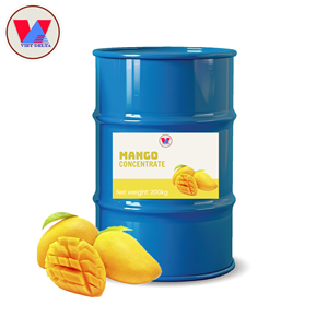 Purée de mangue surgelée de qualité supérieure – Purée de fruits tropicaux naturelle pour l'industrie agroalimentaire - Product Image 2