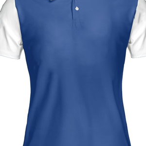Camiseta Unisex 2026 ZPB Greek Apparel 1920 para Mujer, Azul, Bordada, para Hermandades y Fraternidades, Personalizada, de Algodón Premium, Divine Nine - Product Image 3