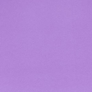 Platos Desechables Ecológicos, Fabricación en Pakistán, Venta al Por Mayor OEM/ODM, Ligeros, Personalizables con Marca - Product Image 3