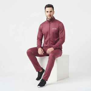 Ensemble de survêtement pour homme Hawk Eye, fermeture éclair intégrale, couleur unie, vêtements de sport décontractés, respirant, polyester, vêtements d'automne - Product Image 5