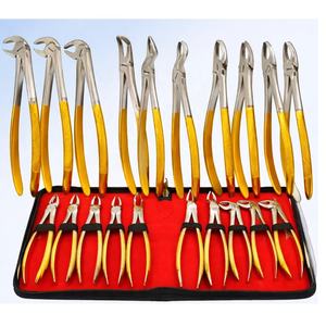 Ensemble de forceps d'extraction dentaire en acier inoxydable avec manche doré, certifié CE, 7 mâchoires, pour clinique, étudiant, 10 pièces, emballage en cuir personnalisé, manuel - Product Image 2