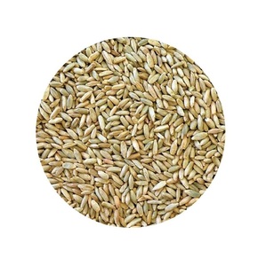 High Purity Rye <b>Grain</b> Bulk Organic Certified Rye Seeds for Milling Brewing Animal Feed Premium Quality Export Standard Supply - Product Image 1