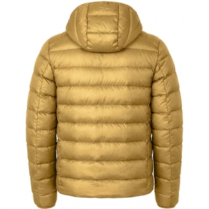 <b>Men's</b> Gold Hooded Down Coat Regular Fit Zipper Closure Casual Style Solid Color Polyester Outerwear Thick Warm Winter Wear - Product Image 2
