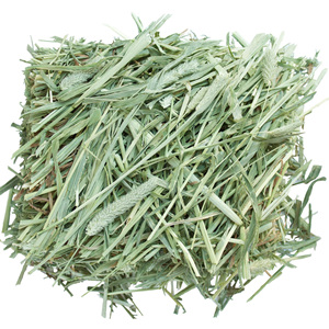 หญ้าทิโมธีเกรด A คุณภาพสูง แบบเม็ดและแบบมัด ความชื้น 2% อายุการเก็บรักษา 2 ปี สำหรับใช้กับม้าและโค - Product Image 3