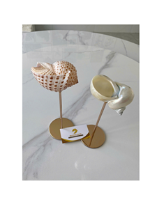 Handmade Natural Snail Shell Wine Cup <b>Goblet</b> Decorative Seashell <b>Glass</b> For Bar Party Wedding Coastal Resort Decoration - Product Image 5