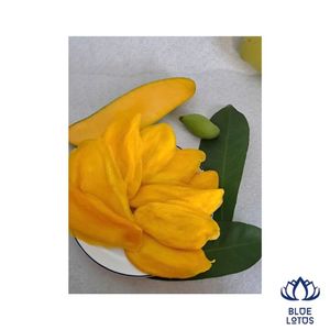 มะม่วงอบแห้งแบบนุ่ม รสชาติเขตร้อน ยอดขายดีที่สุด เป็นมิตรต่อสิ่งแวดล้อม อุดมด้วยไฟเบอร์ ช่วยเพิ่มพลังงาน บรรจุภัณฑ์ขนาดใหญ่ พร้อมส่งออก - Product Image 1