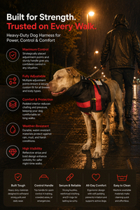 Matériaux robustes et durables à haute résistance à la traction disponibles sur les harnais pour animaux de compagnie de la série HOUND ARMOORE en nylon PP Vietnam. - Product Image 5