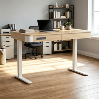 PRORIALS Bureau électrique ergonomique à moteur unique, 2 niveaux, avec grand tiroir invisible en métal, réglable en hauteur, pour le travail assis-debout, bureau et domicile