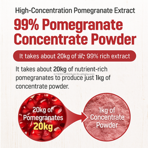 Capsules de polyphénol de grenade de Corée OEM 90 avec complexe de fruits à haute puissance - Product Image 6