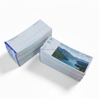Étiquettes de bagages en papier thermique autocollantes durables, fourniture d'usine, étiquettes de compagnie aérienne, logo personnalisé, pré-impression 18"x2.2" CMYK/UV