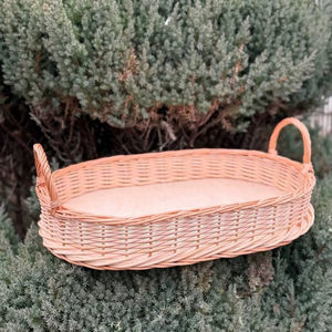 Plateau de service minimaliste en bois et rotin, parfait pour organiser le comptoir de cuisine et servir des fruits sur la table à manger - Product Image 1