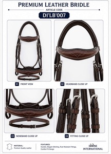 Bridon en cuir robuste pour cheval avec muserolle réglable et coutures de qualité supérieure de Divine International India - Product Image 6