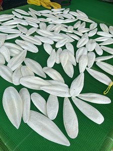 Vietnam Marine Product <b>Cuttlefish</b> Bone Wholesale/Katty - Product Image 2