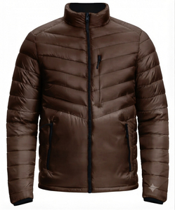 Blouson matelassé à capuche pour homme, tendance 2026, couleur unie, manteau d'hiver, fermeture éclair, rembourrage en polyester, style décontracté, coupe classique - Product Image 1