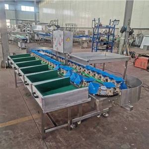 Nhà Máy Giá trái cây SORTER máy core PLC động cơ cho bơ cam ngày khoai tây Kích thước chấm điểm băng tải vành đai phân loại máy - Product Image 2
