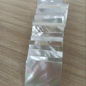Piezas de Nácar Blanco Premium para la Producción de Botones e Incrustaciones - Product Image 1
