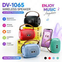 Haut-parleur portable DV-1065 avec lumière RGB, mini système audio fitness, enceinte de poche sans fil pour extérieur, vente en gros
