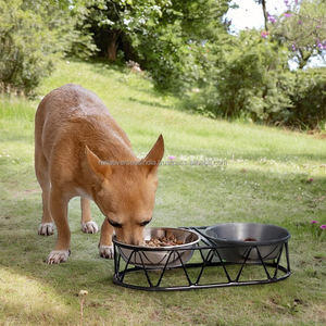 Último Modelo de Soporte Metálico con Tazones de Acero Inoxidable para Perros y Gatos, para Comida y Agua, Ofertas al por Mayor de un Proveedor Confiable - Product Image 2