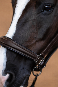 WHOLESALE SHOW HORSE LEATHER HALTER WITH ETCHED SILVER METAL ACCENTS HORSE HALTER STAINLESS STEEL <b>HARDWARE</b> FROM INDIA - Product Image 6