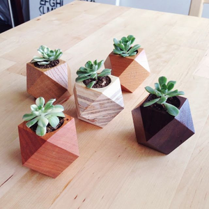 Maceta de Madera Ecológica Cuadrada de Excelente Calidad para Hogar y Restaurante, Diseño para Uso en Suelos de Jardín - Product Image 4