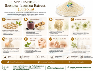 HGO Factory Direct Supply Extrait de sophora japonica naturel pur (qualité alimentaire) Spécification lutéoline 95% (extrait standardisé) - Product Image 5