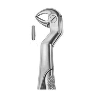 คีมถอนฟัน ROUTURIER (รูปที่ 1) 214) ( 22 1.5 ลิตร) |   สแตนเลสเกรดพรีเมียม - Product Image 1